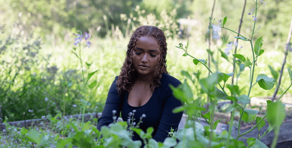 Person sitter vid en odlingslåda och arbetar bland gröna växter och blommor i en lummig trädgårdsmiljö.