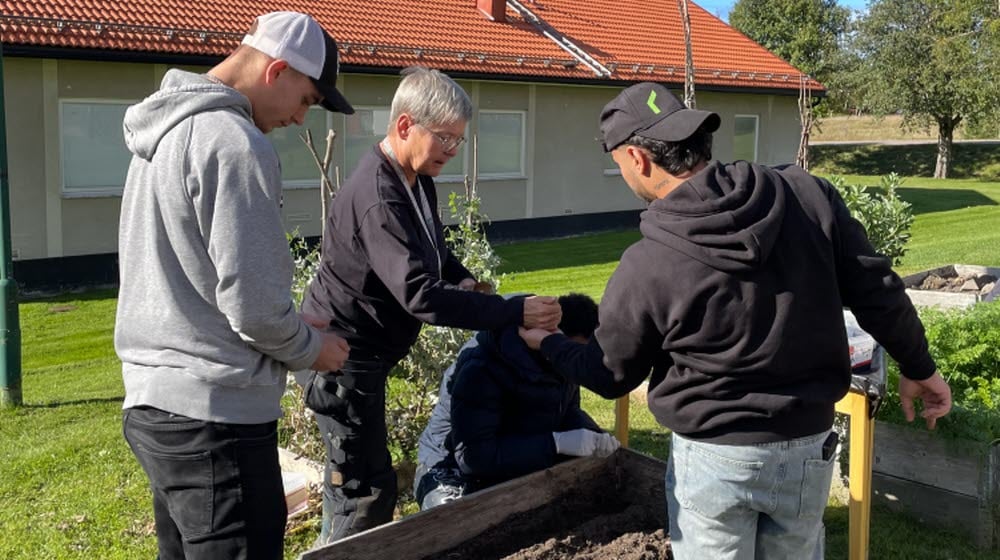 Deltagare i projektet FolkisUng arbetar tillsammans med plantering i en odlingslåda vid Västerbergs folkhögskola.